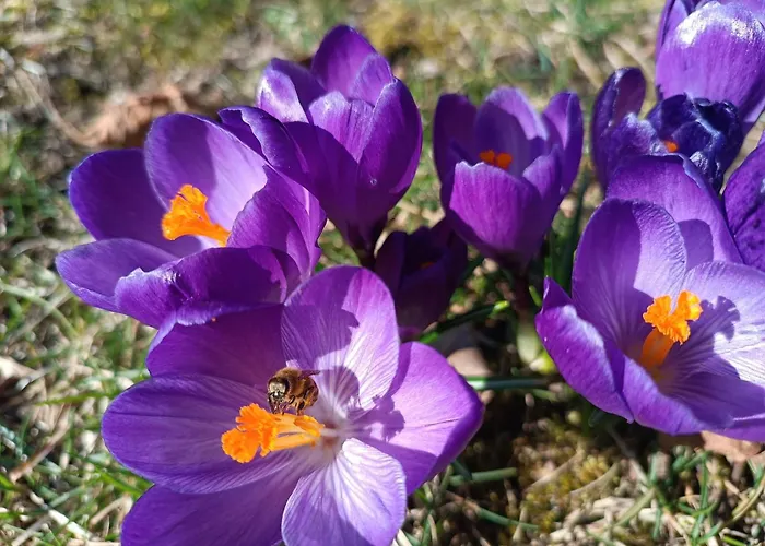 Agroturystyka Lesieniec - Magdalena I Maciej Mochon