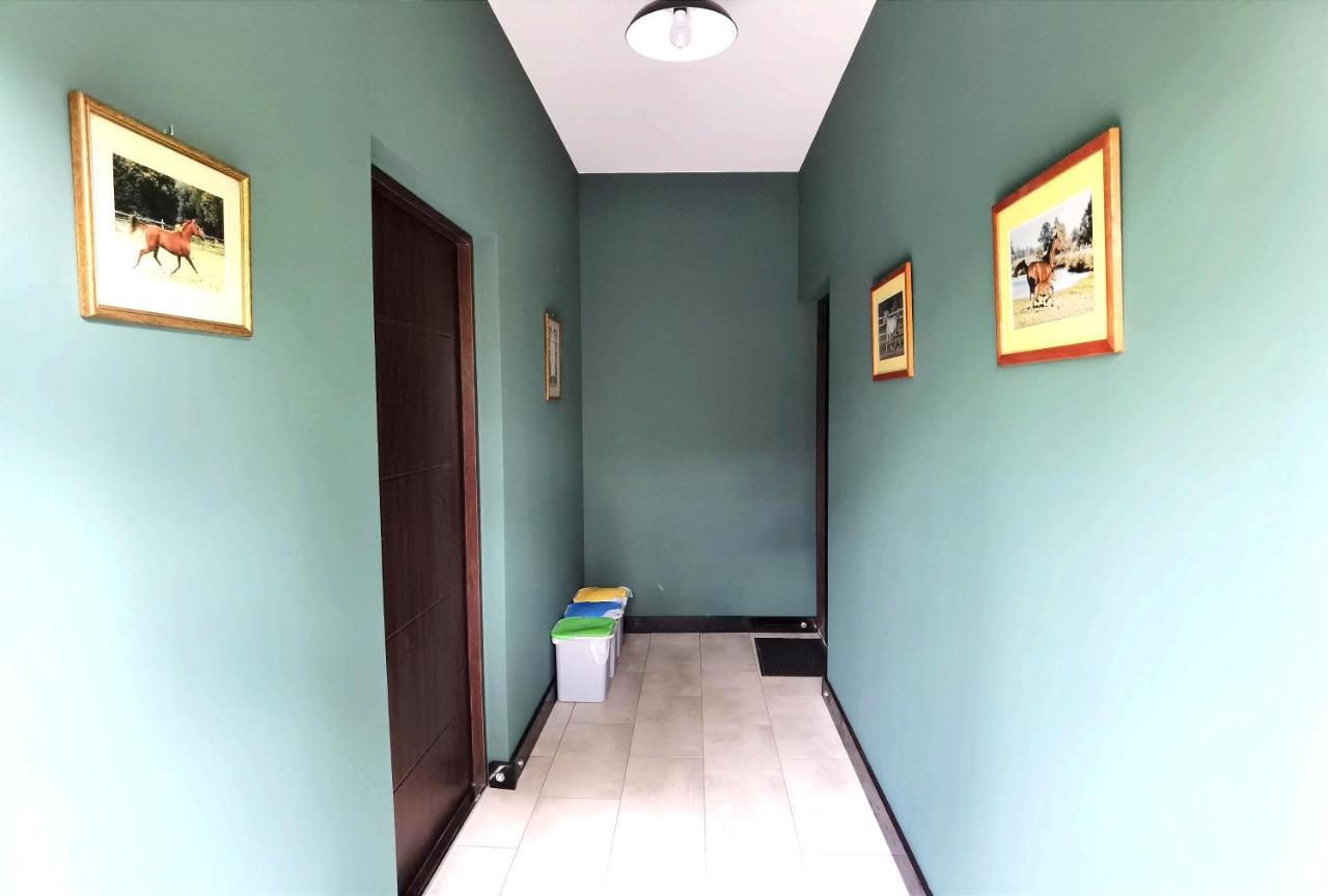 Farm stay Lesieniec - Magdalena I Maciej Mochon *