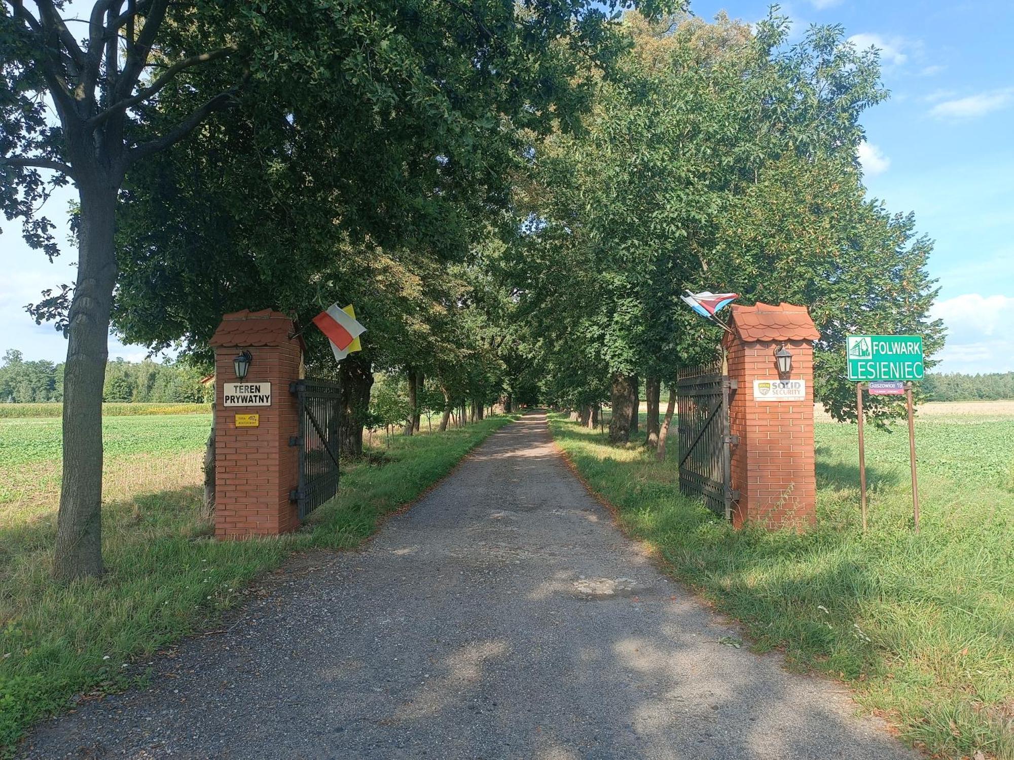 Lesieniec - Magdalena I Maciej Mochon