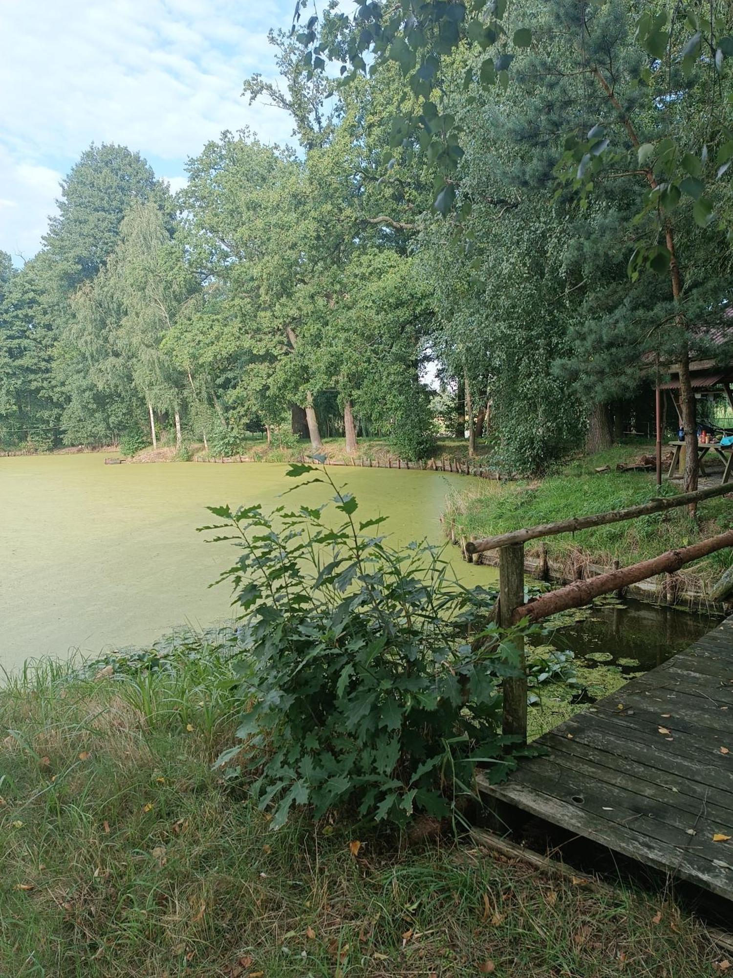 Lesieniec - Magdalena I Maciej Mochon Farm stay