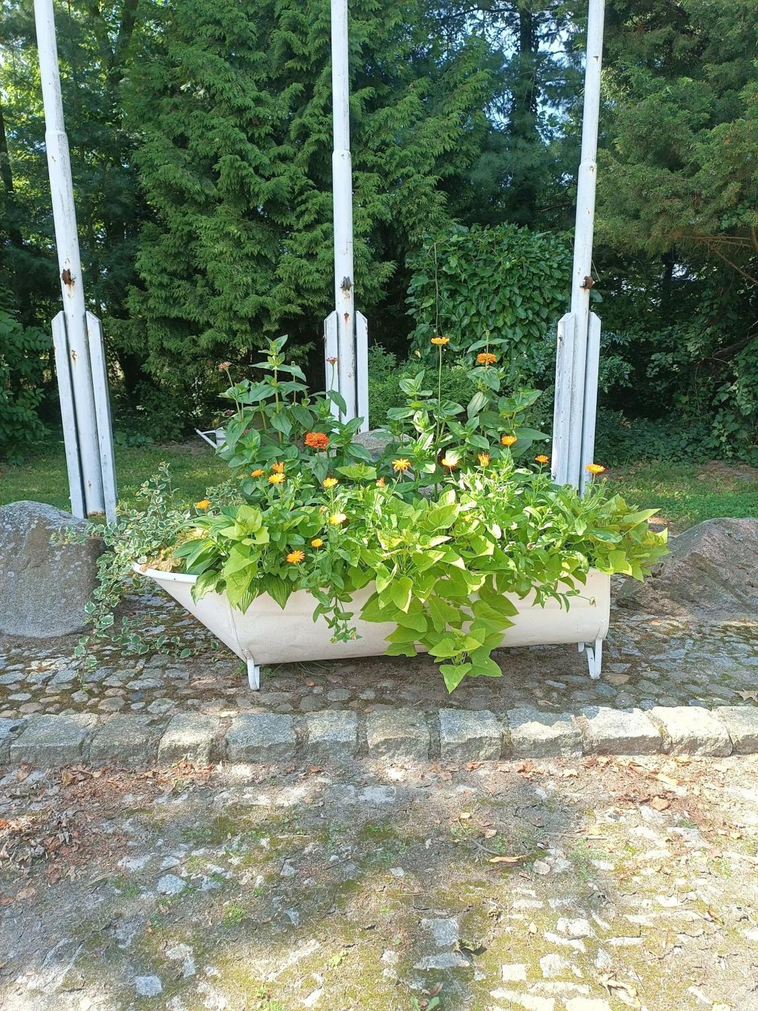 Lesieniec - Magdalena I Maciej Mochon Farm stay