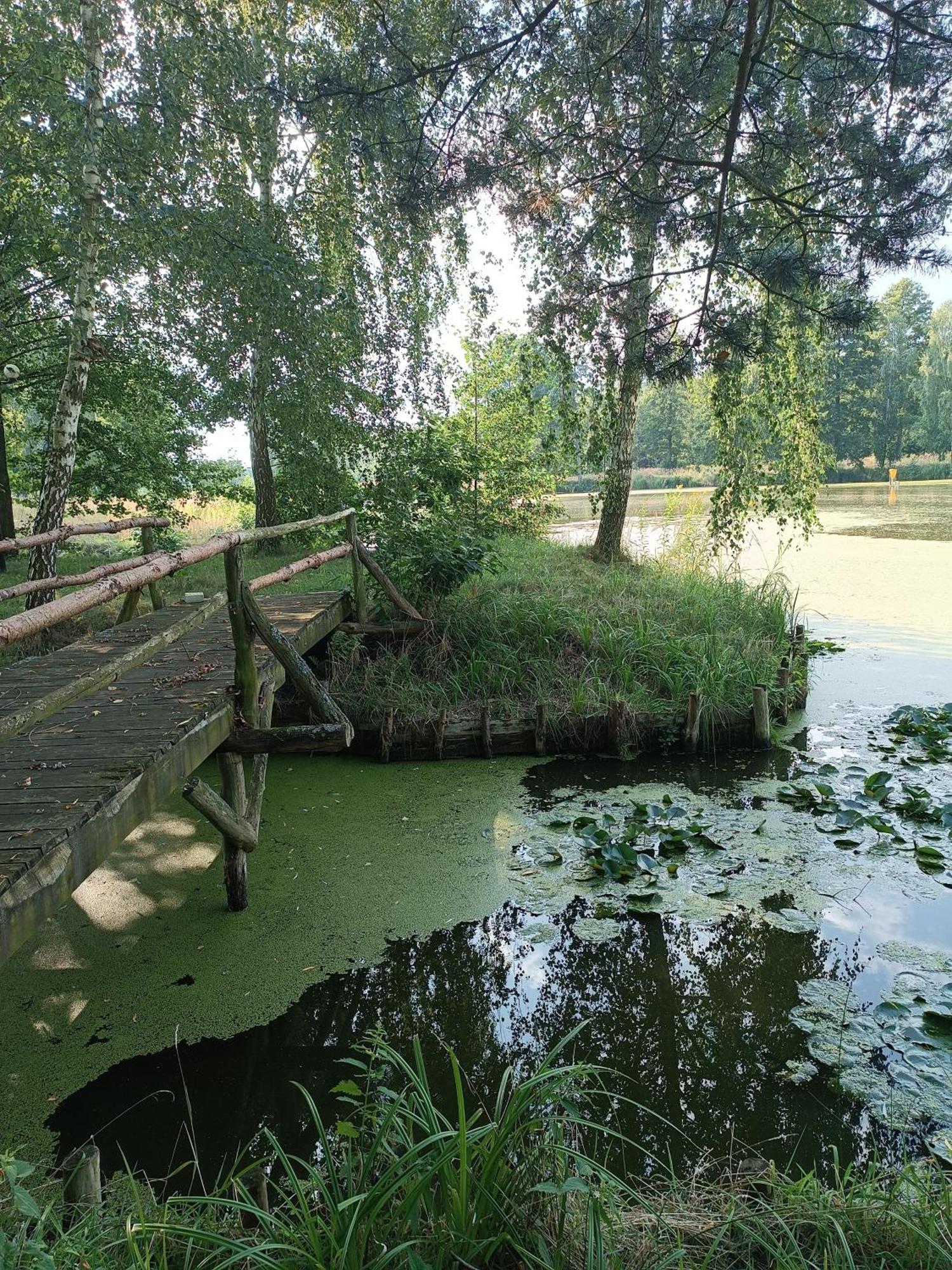 Farm stay Lesieniec - Magdalena I Maciej Mochon *